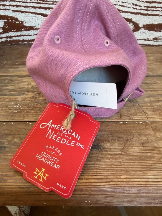 NWT Anthropologie American Needle Paris Wool Baseball Cap main image 8
